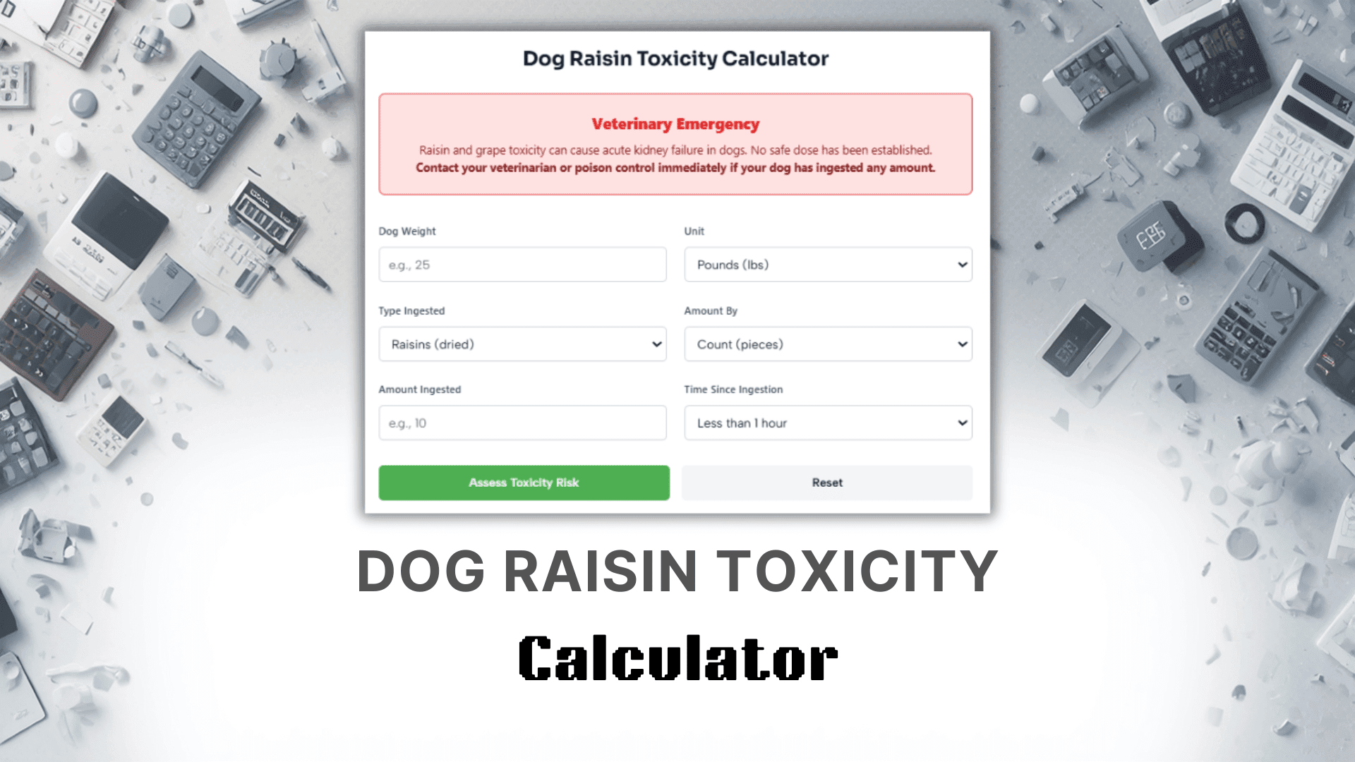 Dog Raisin Toxicity Calculator