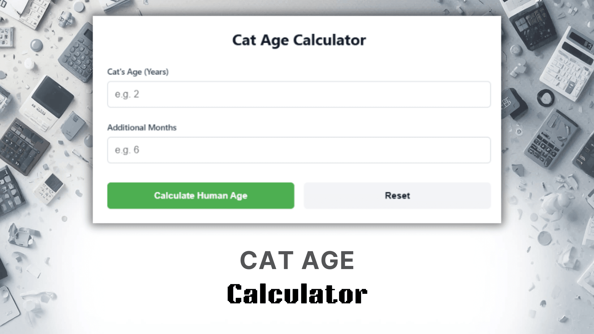 Cat Age Calculator