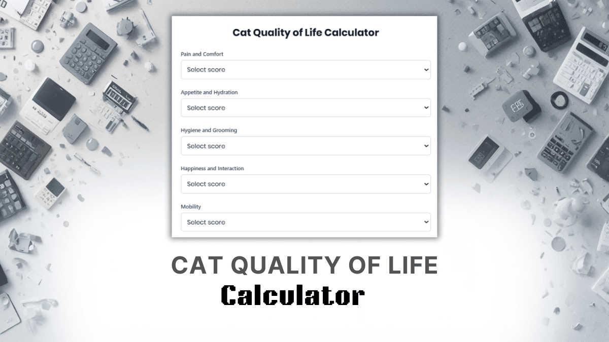 Cat Quality Of Life Calculator