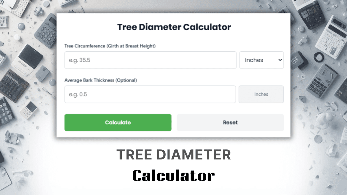 Tree Diameter Calculator